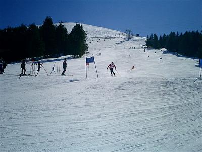 Pezz13Mar05 011